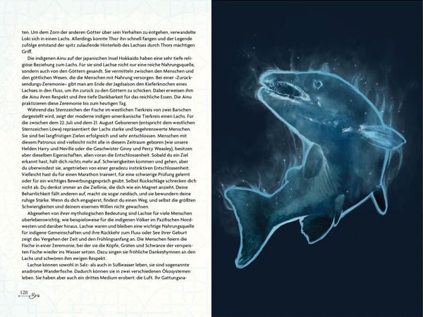 Produktbild: Das illustrierte Patronus-Handbuch f&uuml;r Potter-Fans