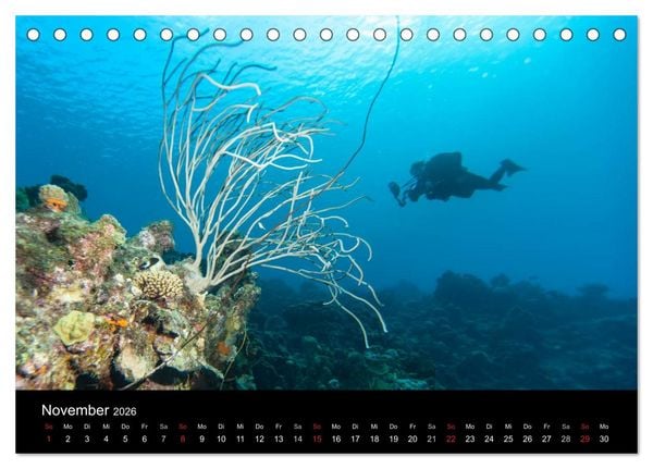 Produktbild: Abgetaucht - an den K&uuml;sten vor Cura&ccedil;ao (Tischkalender 2026 DIN A5 quer), CALVENDO Monatskalender