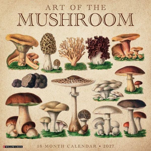 Produktbild: Art of the Mushroom 2027 12 X 12 Wall Calendar