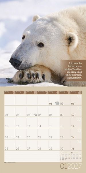 Produktbild: Keep Smiling Kalender 2027 - 30x30 - Art12