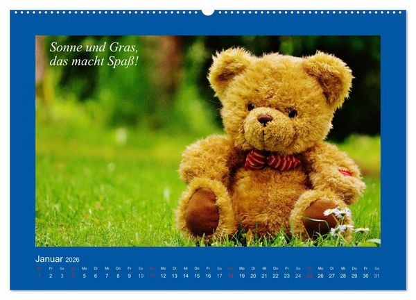 Produktbild: Sommer im Teddy-Land. B&auml;r und Freunde (Wandkalender 2026 DIN A2 quer), CALVENDO Monatskalender