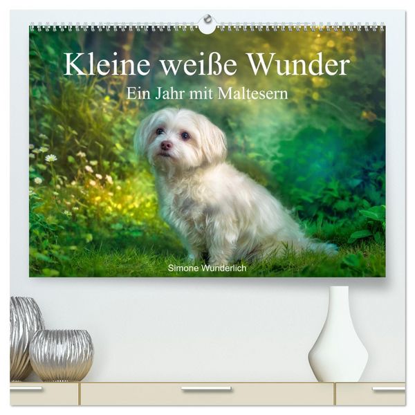 Produktbild: Kleine wei&szlig;e Wunder - ein Jahr mit Maltesern (hochwertiger Premium Wandkalender 2027 DIN A2 quer), Kunstdruck in Hochglanz