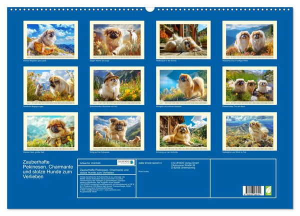 Produktbild: Zauberhafte Pekinesen. Charmante und stolze Hunde zum Verlieben (Wandkalender 2026 DIN A2 quer), CALVENDO Monatskalender
