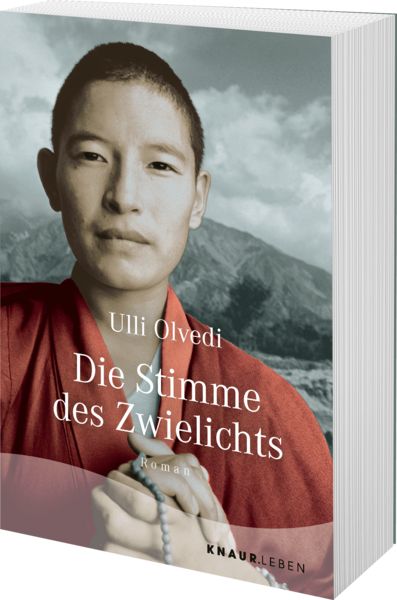 Produktbild: Die Stimme des Zwielichts