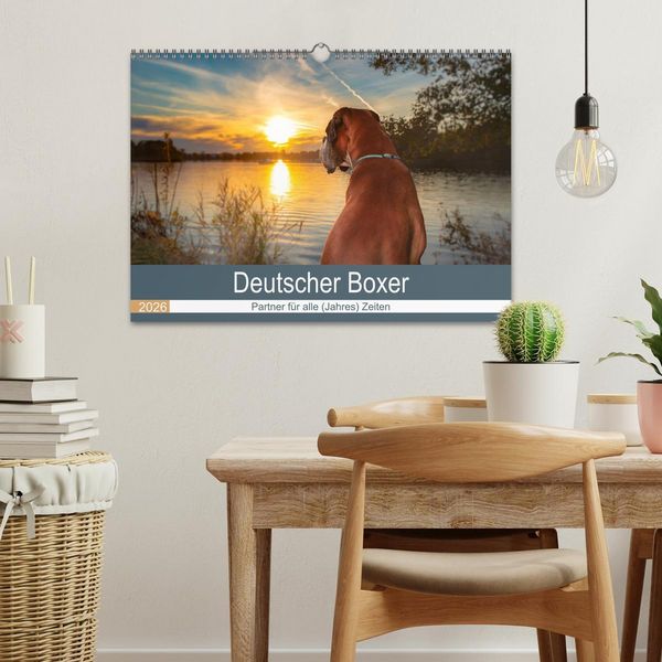 Produktbild: Deutscher Boxer (Wandkalender 2026 DIN A3 quer), CALVENDO Monatskalender