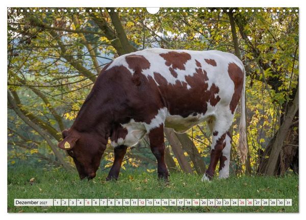 Produktbild: Heimatmomente - L&auml;ndliche Impressionen (Wandkalender 2027 DIN A3 quer), CALVENDO Monatskalender