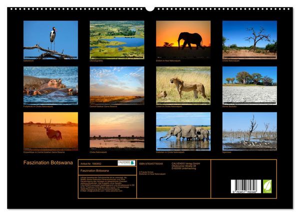Produktbild: Faszination Botswana (hochwertiger Premium Wandkalender 2026 DIN A2 quer), Kunstdruck in Hochglanz