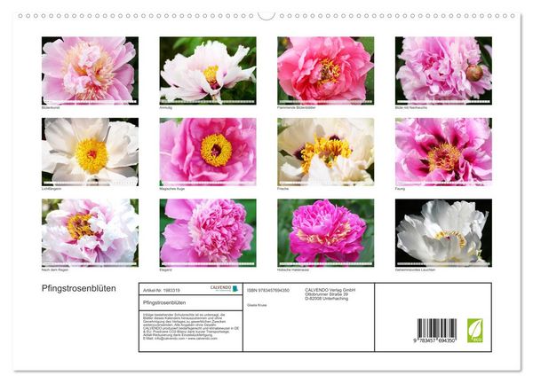 Produktbild: Pfingstrosenbl&uuml;ten (hochwertiger Premium Wandkalender 2026 DIN A2 quer), Kunstdruck in Hochglanz
