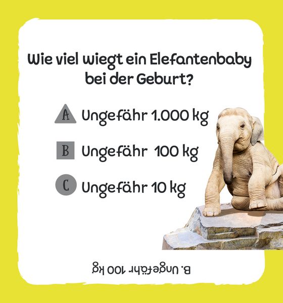 Produktbild: Kartenbox: Das gro&szlig;e Quiz &ndash; Tiere