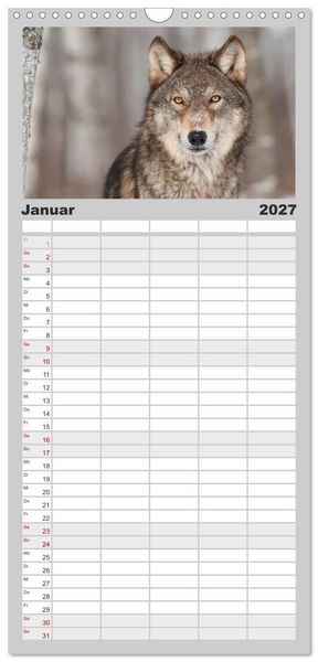 Produktbild: Familienplaner 2027 - W&ouml;lfe. Graue Eminenzen mit 5 Spalten (Wandkalender, 21 x 45 cm) CALVENDO
