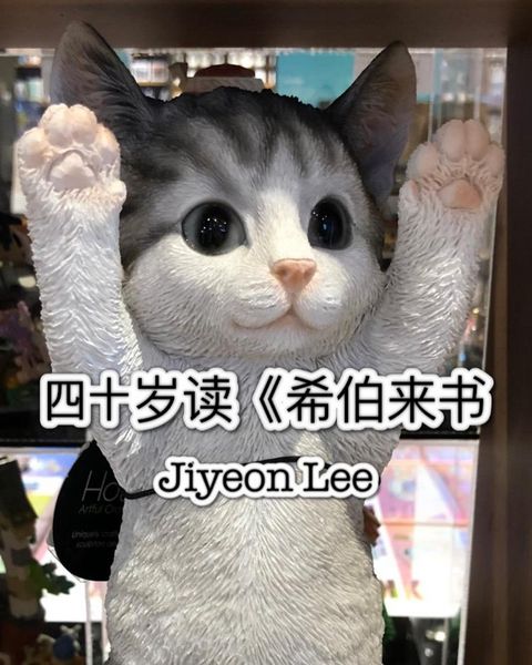 Produktbild: 四十岁读《希伯来书