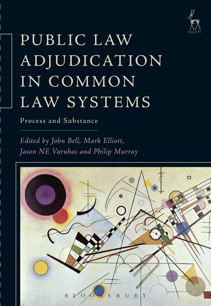 Produktbild: Public Law Adjudication in Common Law Systems