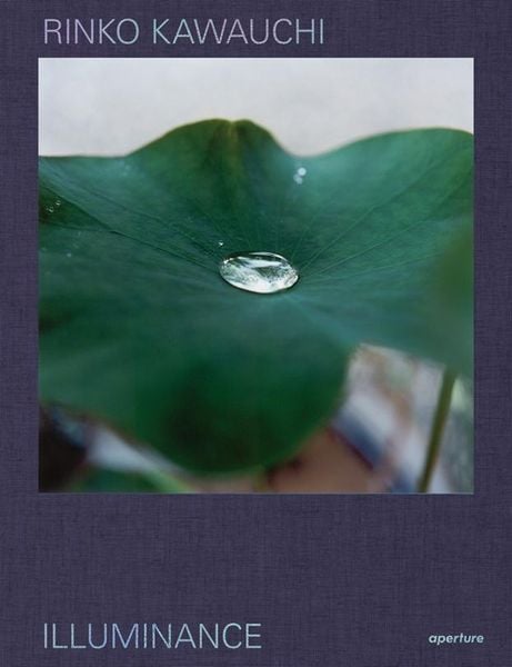 Produktbild: Rinko Kawauchi: Illuminance: The Tenth Anniversary Edition
