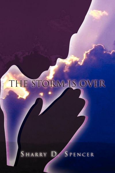 Produktbild: The Storm Is Over