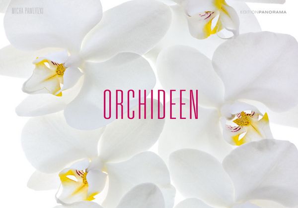 Produktbild: Pawlitzki, M: Orchideen/immerw&auml;hrend