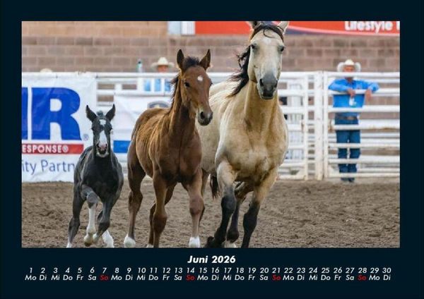 Produktbild: Pferde Kalender 2026 Fotokalender DIN A4