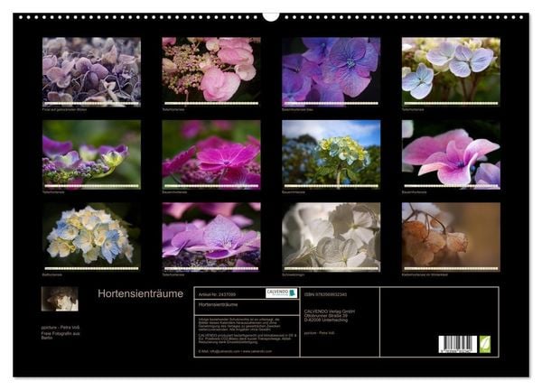 Produktbild: Hortensientr&auml;ume (Wandkalender 2027 DIN A2 quer), CALVENDO Monatskalender