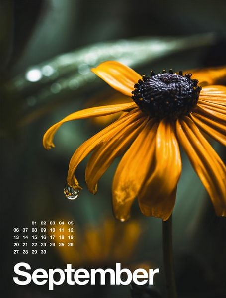 Produktbild: Fr&uuml;hling, Sommer, Herbst & Winter Kalender 2027