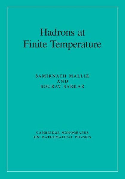 Produktbild: Hadrons at Finite Temperature