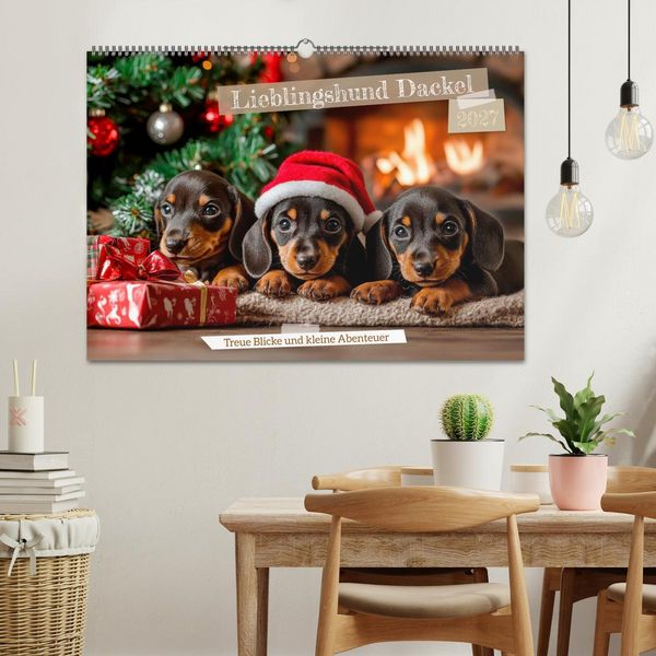 Produktbild: Lieblingshund Dackel (Wandkalender 2027 DIN A2 quer), CALVENDO Monatskalender