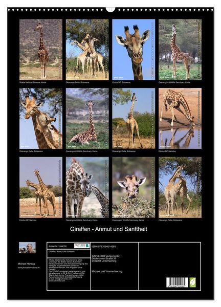 Produktbild: Giraffen - Anmut und Sanftheit (Wandkalender 2027 DIN A2 hoch), CALVENDO Monatskalender