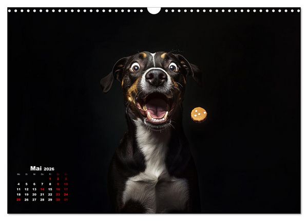 Produktbild: Leckerchen! (Wandkalender 2026 DIN A3 quer), CALVENDO Monatskalender