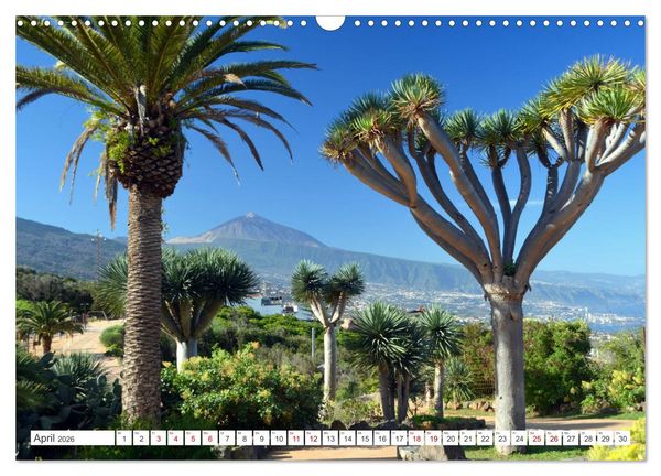 Produktbild: Teneriffa Insel der Gl&uuml;ckseligen (Wandkalender 2026 DIN A3 quer), CALVENDO Monatskalender