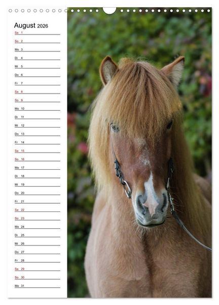 Produktbild: Isl&auml;nder im Portrait (Wandkalender 2026 DIN A3 hoch), CALVENDO Monatskalender