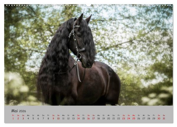 Produktbild: Spiegel deiner Seele (hochwertiger Premium Wandkalender 2026 DIN A2 quer), Kunstdruck in Hochglanz