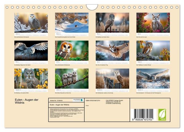 Produktbild: Eulen - Augen der Wildnis (Wandkalender 2026 DIN A4 quer), CALVENDO Monatskalender