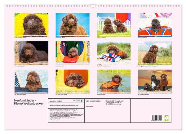 Produktbild: Neufundl&auml;nder - Kleine Weltentdecker (Wandkalender 2026 DIN A2 quer), CALVENDO Monatskalender