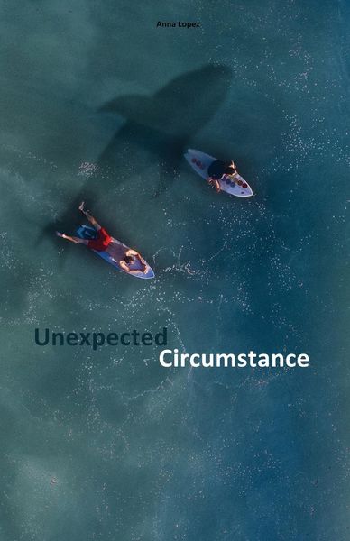 Produktbild: Unexpected Circumstance