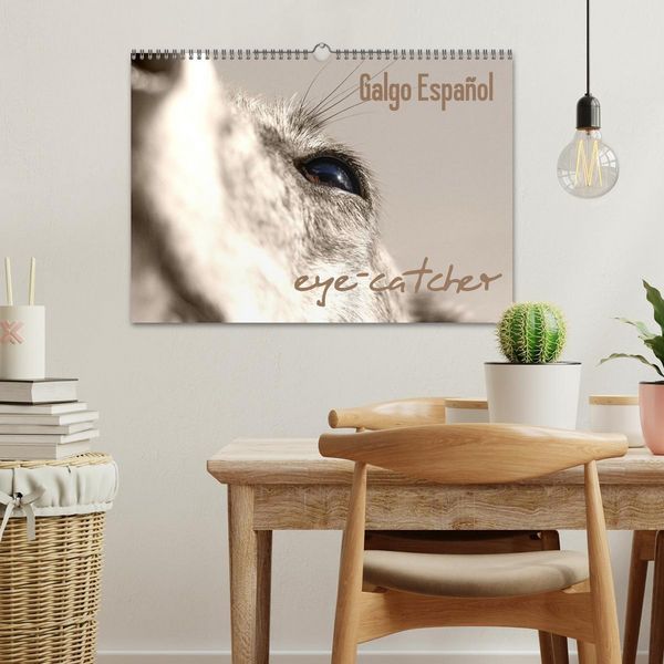 Produktbild: Galgo eye-catcher (Wandkalender 2026 DIN A3 quer), CALVENDO Monatskalender