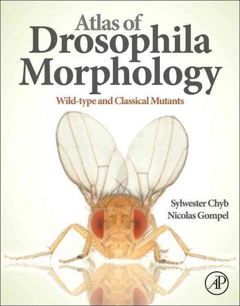 Produktbild: Atlas of Drosophila Morphology