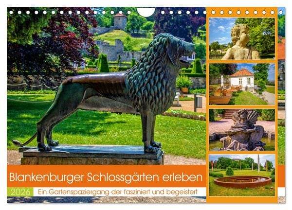 Blankenburger Schlossgärten erleben (Wandkalender 2026 DIN A4 quer), CALVENDO Monatskalender