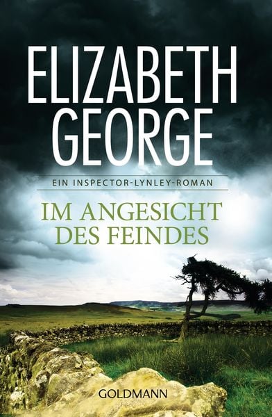 Produktbild: Im Angesicht des Feindes