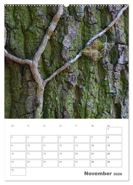 Produktbild: Planen mit dem Symbol der inneren St&auml;rke (Wandkalender 2026 DIN A2 hoch), CALVENDO Monatskalender