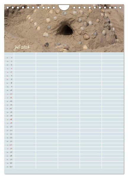 Produktbild: Kleine Sand-Sch&ouml;nheiten / Familienplaner (Wandkalender 2026 DIN A4 hoch), CALVENDO Monatskalender