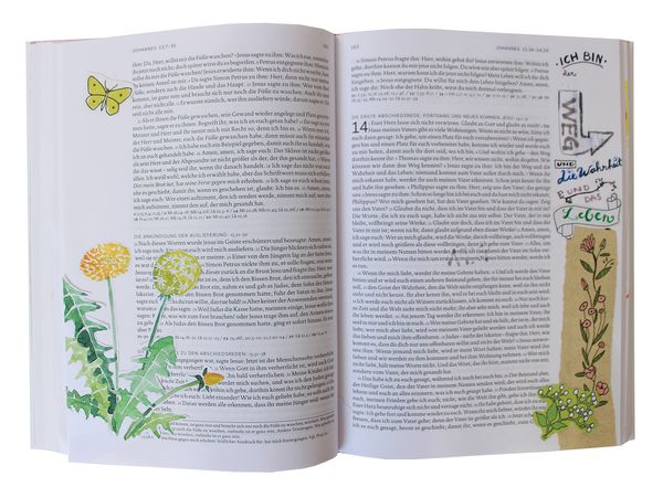 Produktbild: Neues Testament . Bibel kreativ