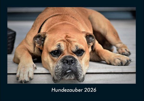 Produktbild: Hundezauber 2026 Fotokalender DIN A4