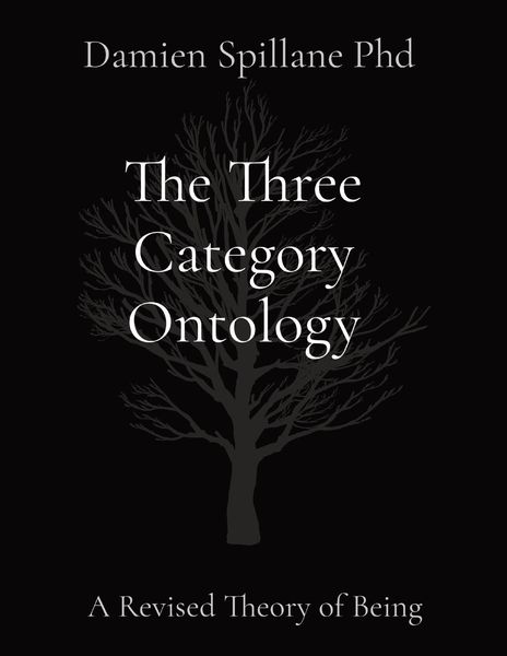 Produktbild: The Three Category Ontology