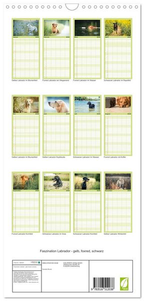 Produktbild: Familienplaner 2026 - Faszination Labrador - gelb, foxred, schwarz mit 5 Spalten (Wandkalender, 21 x 45 cm) CALVENDO