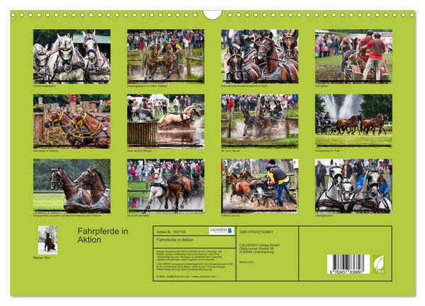 Produktbild: Fahrpferde in Aktion (Wandkalender 2026 DIN A3 quer), CALVENDO Monatskalender