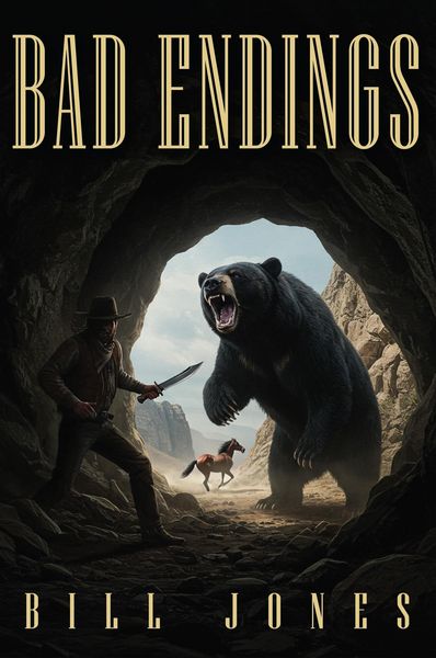 Produktbild: Bad Endings (A Dry Crik Western Series, #4)