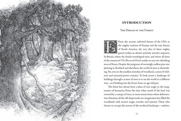 Produktbild: The Sherwood Oracle