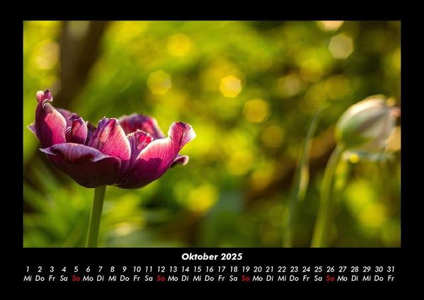 Produktbild: Naturlandschaften 2025 Fotokalender DIN A3