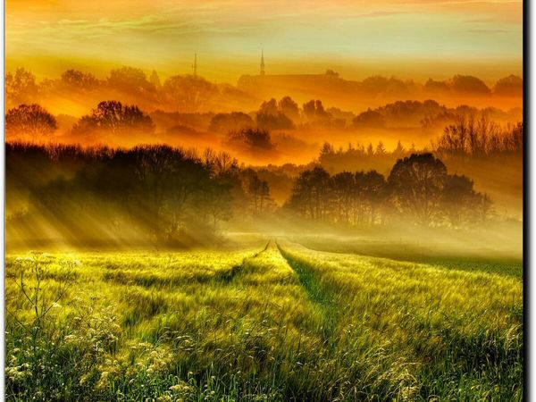 Produktbild: CALVENDO Puzzle &Uuml;ber dem Kornfeld geht die Sonne auf | 1000 Teile Lege-Gr&ouml;&szlig;e 64x48cm Foto-Puzzle f&uuml;r gl&uuml;ckliche Stunden