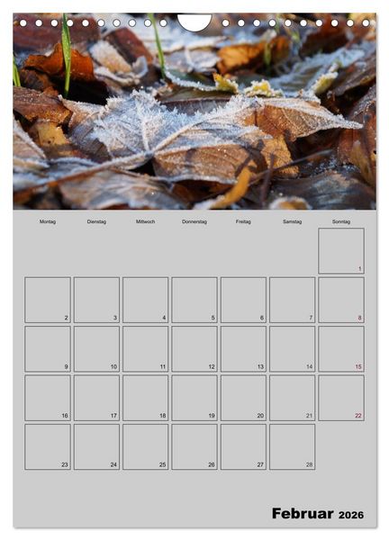Produktbild: Zeitgewinn (Mein Terminplaner) (Wandkalender 2026 DIN A4 hoch), CALVENDO Monatskalender