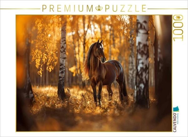 CALVENDO Puzzle Braunes Pferd im Herbstwald | 1000 Teile Lege-Größe 64x48cm Foto-Puzzle für glückliche Stunden