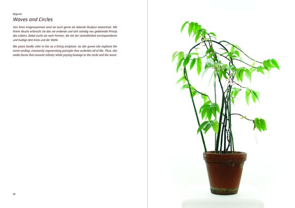 Produktbild: Urban Plants